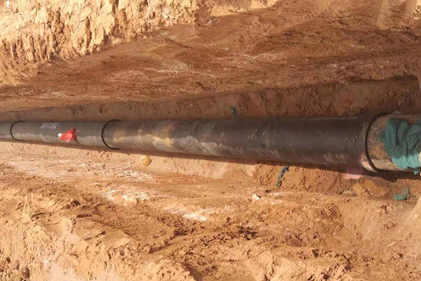 聯系我們-騰龍公司客服-13408888125-開戶電話微信同步